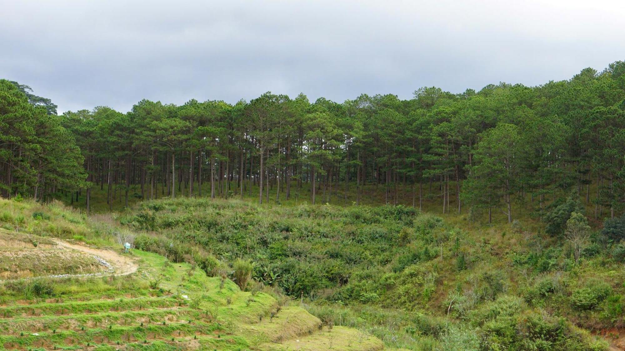 Apartamento Lung Chung House Dalat Exterior foto
